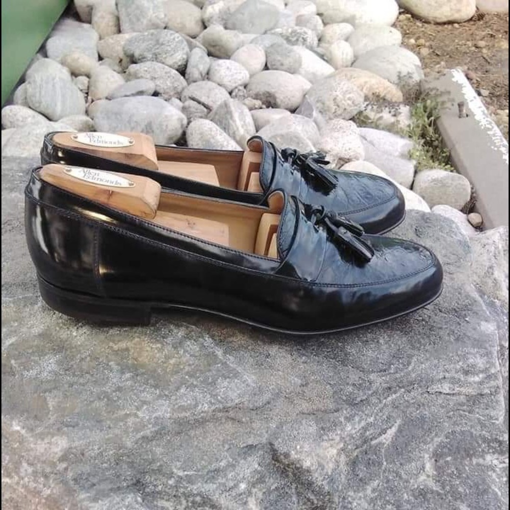 Bally Lucio.  10D. Navy